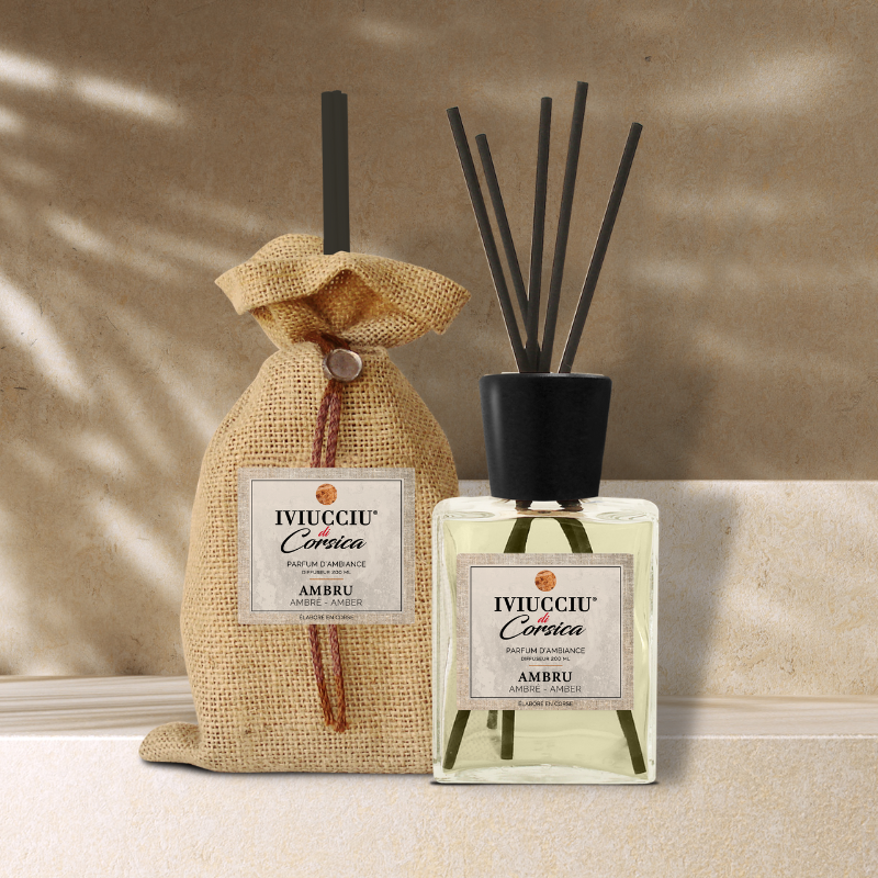 Auto-diffuseur Mikado 100 ml