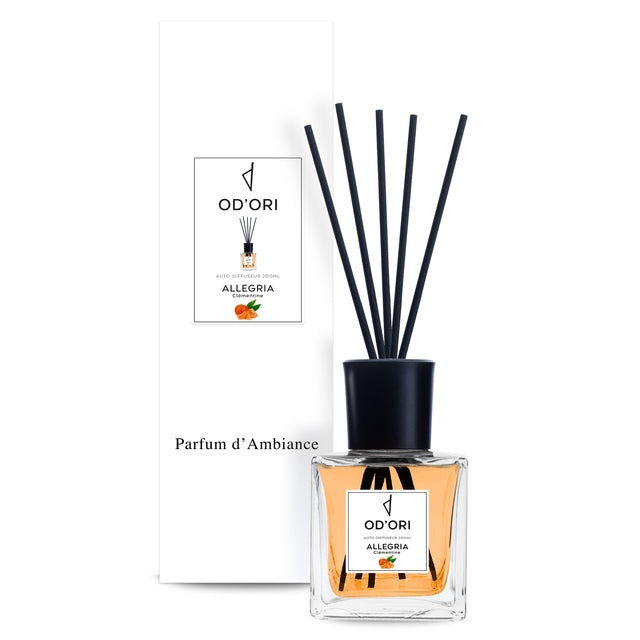Auto-diffuseur Mikado 200ml