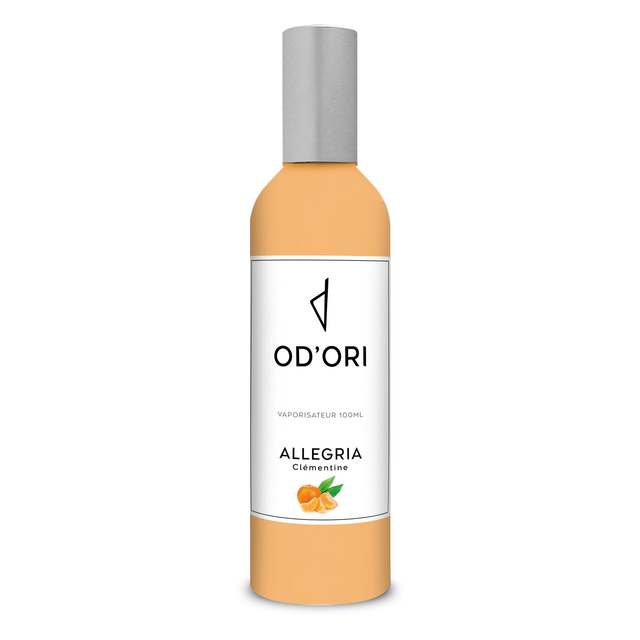 Parfum d’ambiance 100ml