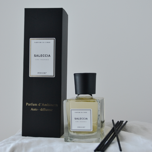 Auto-diffuseur Mikado 200 ml – Collection Privée
