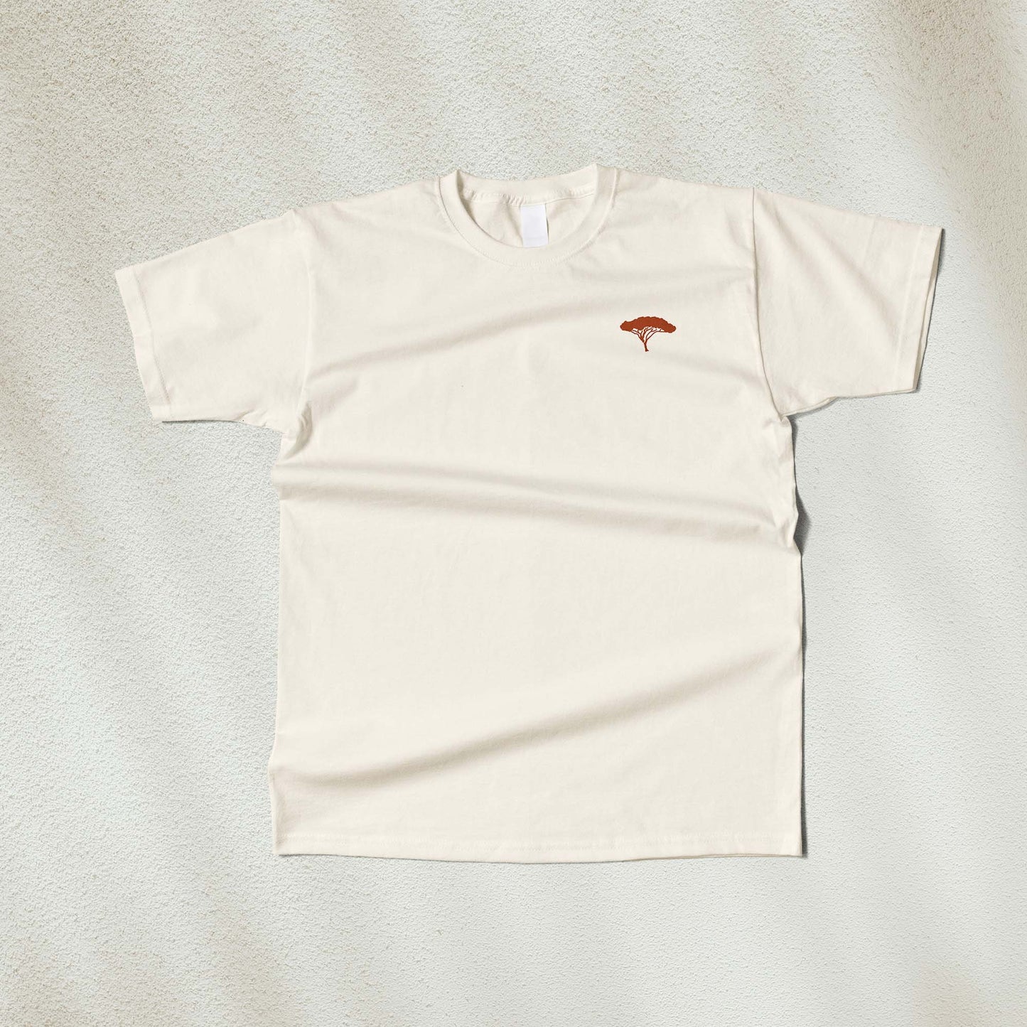 Piana
